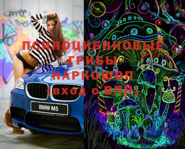 стаф Киренск