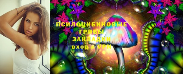 спиды Алексин