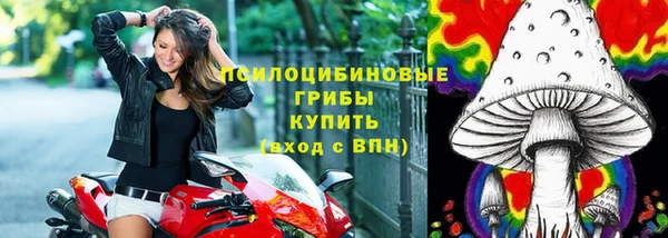 ALPHA PVP Алзамай
