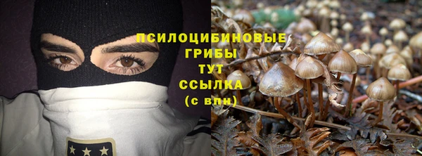 ALPHA-PVP Заволжск