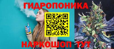молекула духа Заводоуковск