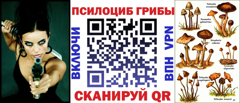 купить наркотики сайты Минусинск Галлюциногенные грибы MAGIC MUSHROOMS
