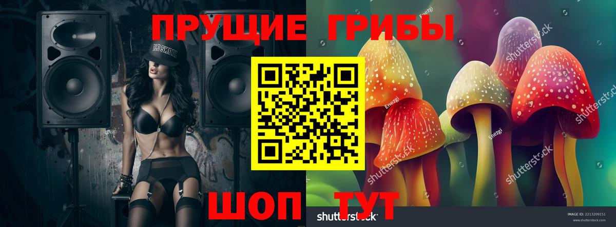 Галлюциногенные грибы Cubensis  Вход с VPN  Минусинск  Псилоцибиновые грибы мицелий 